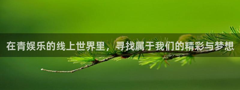 卧龙娱乐登录入口