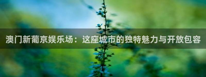 卧龙娱乐登录入口