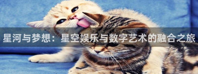 卧龙娱乐