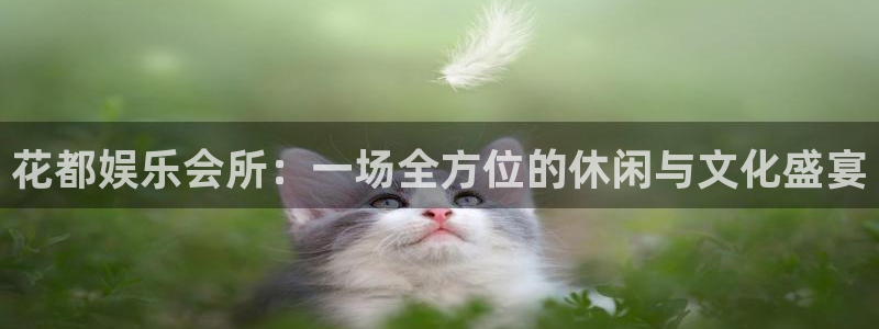 卧龙娱乐怎么样
