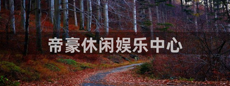 卧龙娱乐怎么样