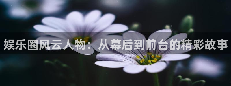 卧龙娱乐登录入口