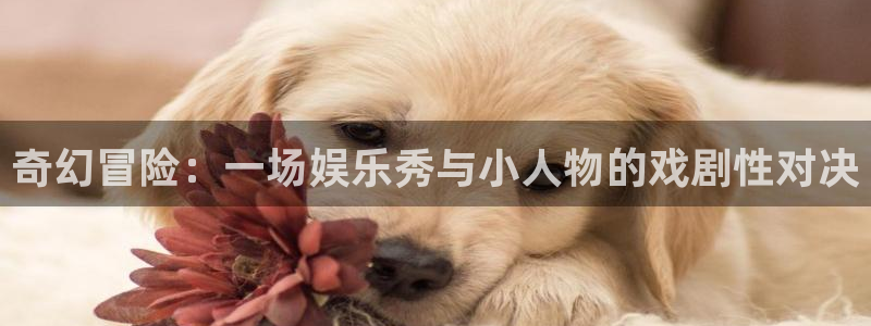 卧龙娱乐怎么样